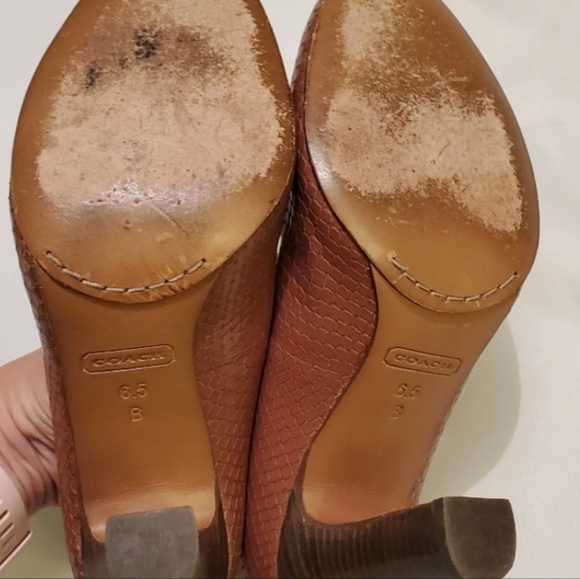 Coach reptile print with classic signature "C" signature logo. - Picture 6 of 6